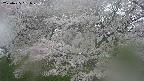 ochiai2-20250425161030.jpg