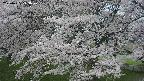 ochiai2-20250425173028.jpg