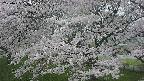 ochiai2-20250425182031.jpg