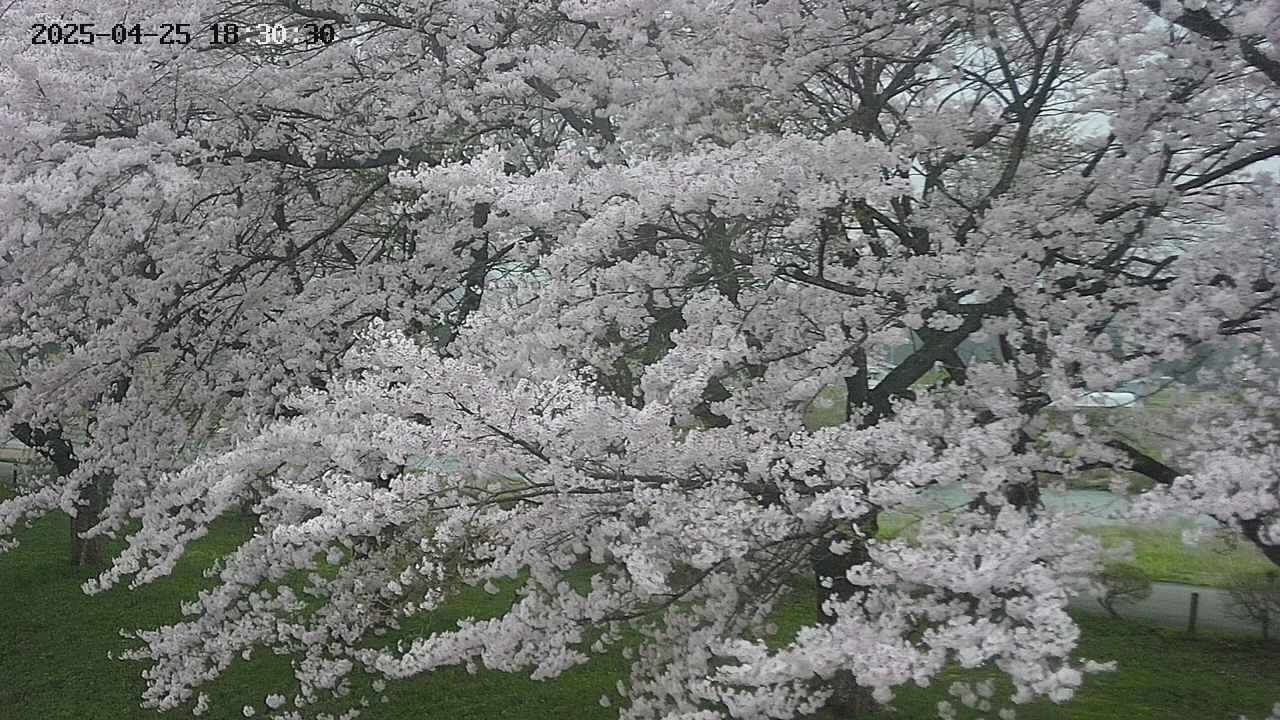 ochiai2-20250425183031.jpg