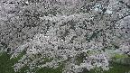 ochiai2-20250425183031.jpg