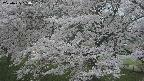ochiai2-20250425184031.jpg