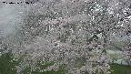 ochiai2-20250426053106.jpg