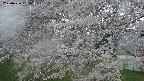 ochiai2-20250426055107.jpg