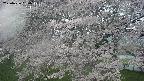 ochiai2-20250426060106.jpg