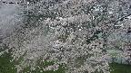 ochiai2-20250426061112.jpg