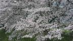 ochiai2-20250426100117.jpg