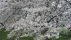 ochiai2-20250426101118.jpg