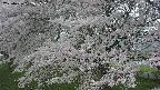 ochiai2-20250426102115.jpg