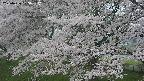 ochiai2-20250426105112.jpg