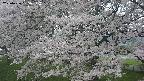 ochiai2-20250426135113.jpg