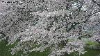 ochiai2-20250426140115.jpg