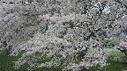 ochiai2-20250426142103.jpg