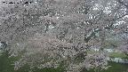 ochiai2-20250426160059.jpg