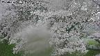 ochiai2-20250426170109.jpg