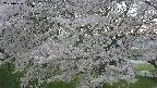 ochiai2-20250426171110.jpg