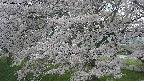 ochiai2-20250426174115.jpg