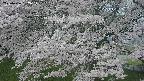 ochiai2-20250426182115.jpg