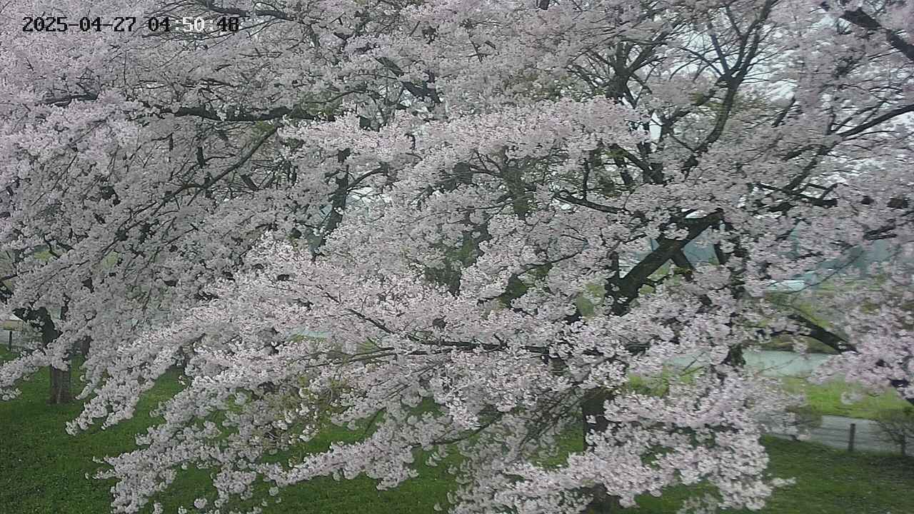 ochiai2-20250427045112.jpg