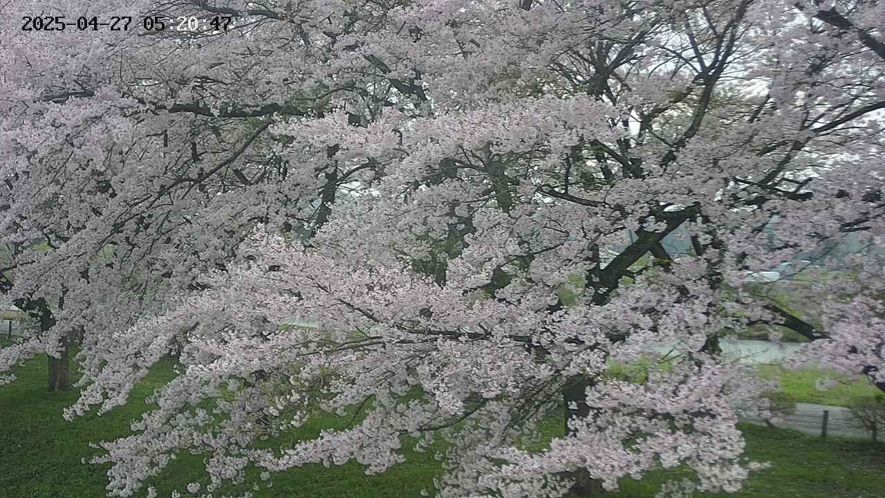 ochiai2-20250427052110.jpg
