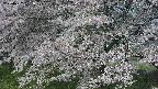ochiai2-20250427081114.jpg