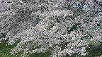 ochiai2-20250427083112.jpg