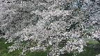 ochiai2-20250427091113.jpg