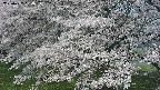 ochiai2-20250427094116.jpg