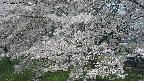 ochiai2-20250427105112.jpg