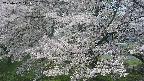 ochiai2-20250427111120.jpg