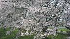 ochiai2-20250427121113.jpg