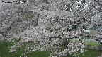 ochiai2-20250427135110.jpg