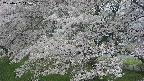 ochiai2-20250427145114.jpg