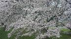 ochiai2-20250427152114.jpg