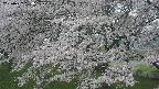 ochiai2-20250427160119.jpg
