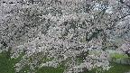 ochiai2-20250427161114.jpg