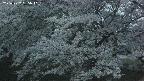 ochiai2-20250427185054.jpg
