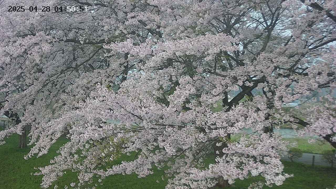 ochiai2-20250428045114.jpg