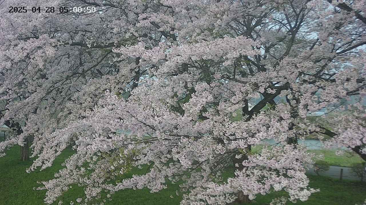 ochiai2-20250428050112.jpg