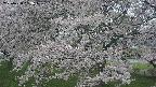ochiai2-20250428093115.jpg