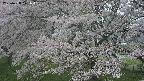 ochiai2-20250428121112.jpg