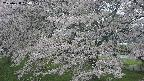 ochiai2-20250428154114.jpg