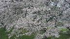 ochiai2-20250428171117.jpg