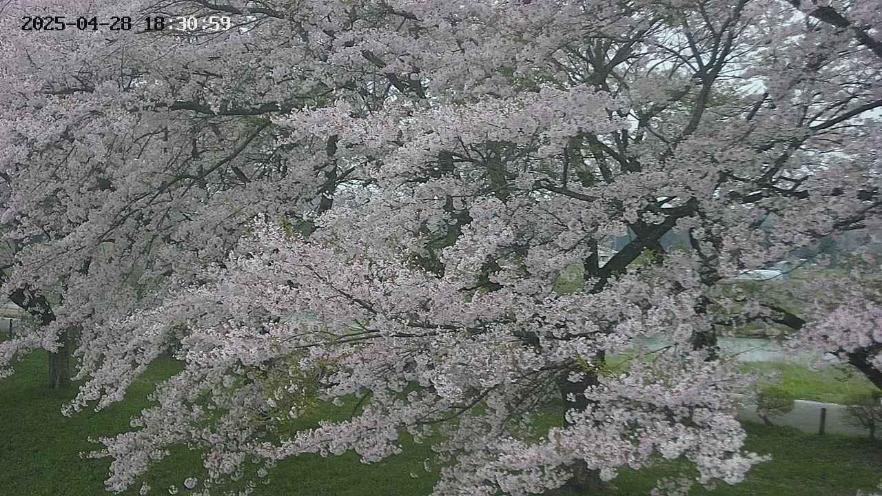 ochiai2-20250428183123.jpg