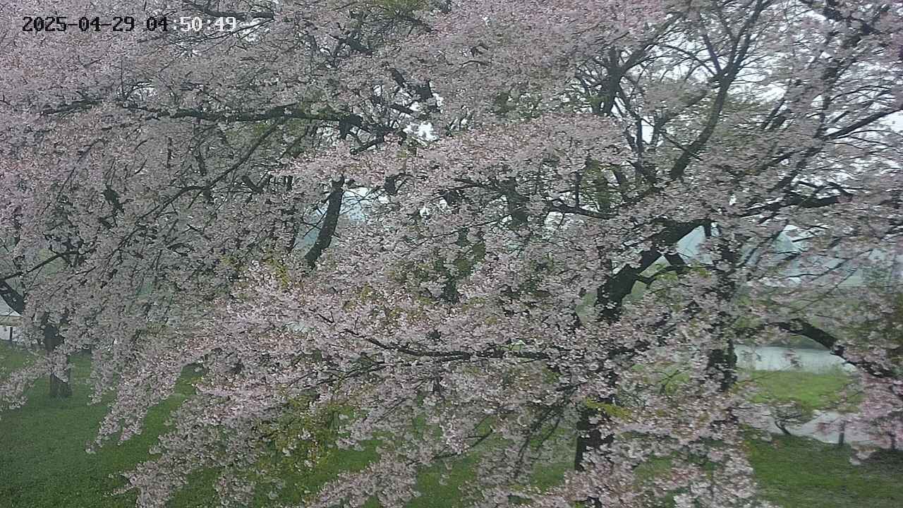 ochiai2-20250429045113.jpg