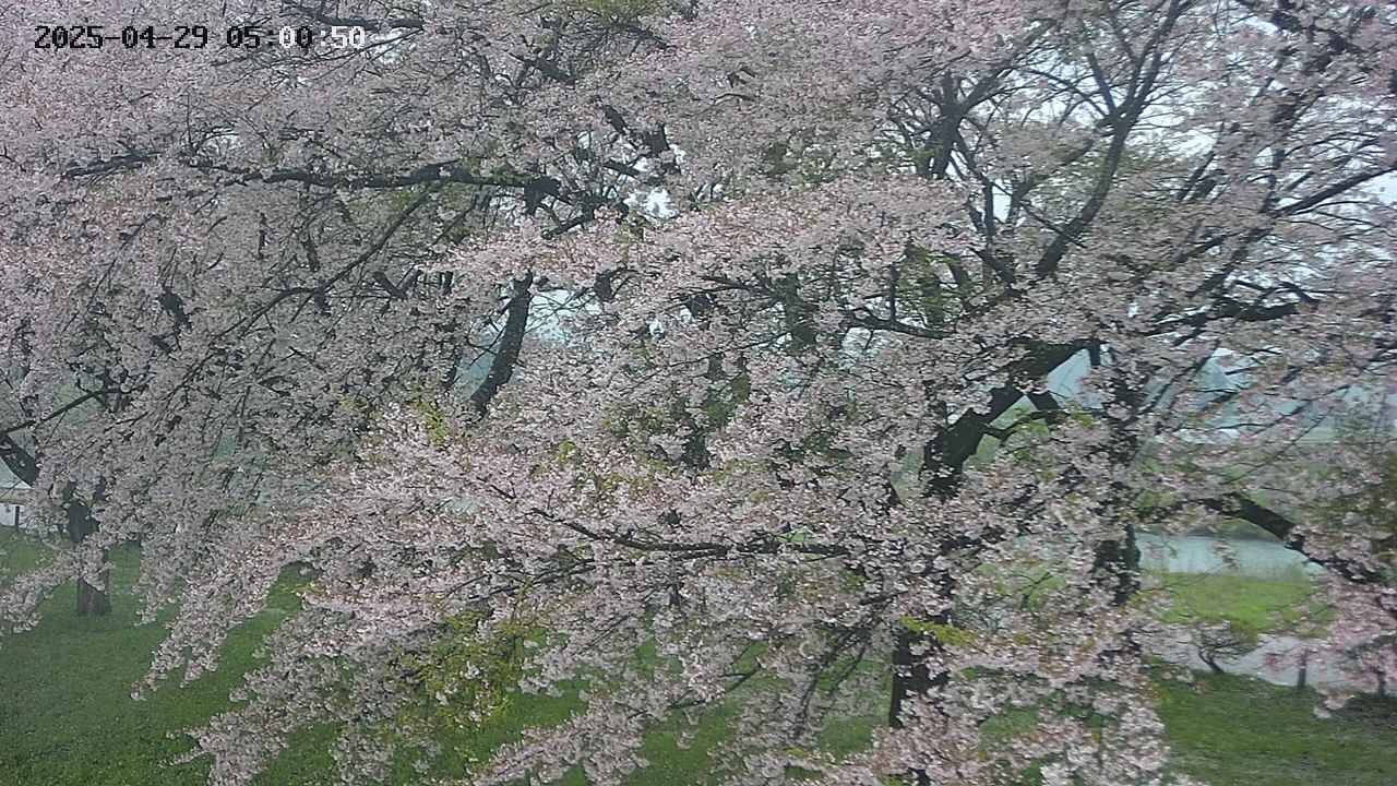 ochiai2-20250429050115.jpg