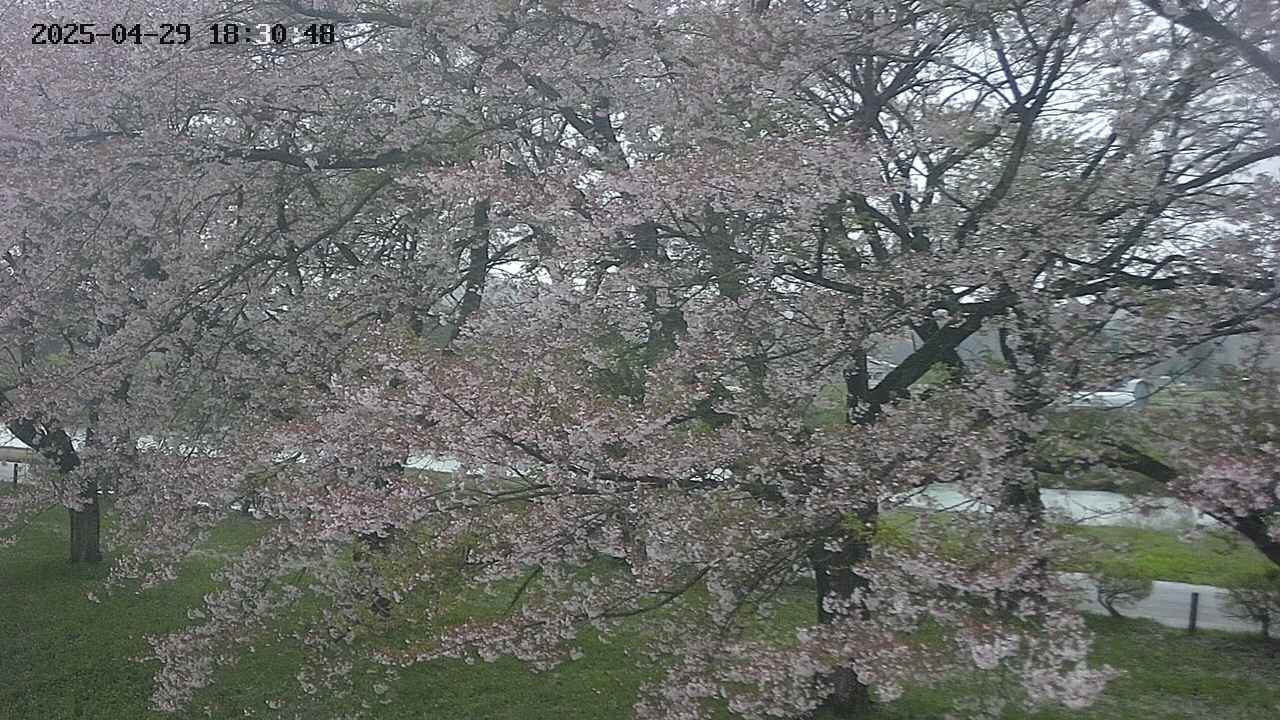 ochiai2-20250429183108.jpg