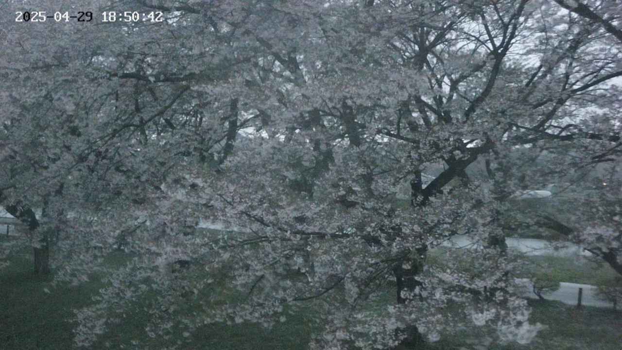 ochiai2-20250429185056.jpg