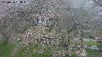 ochiai2-20250430063103.jpg