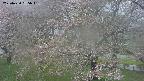 ochiai2-20250430065101.jpg